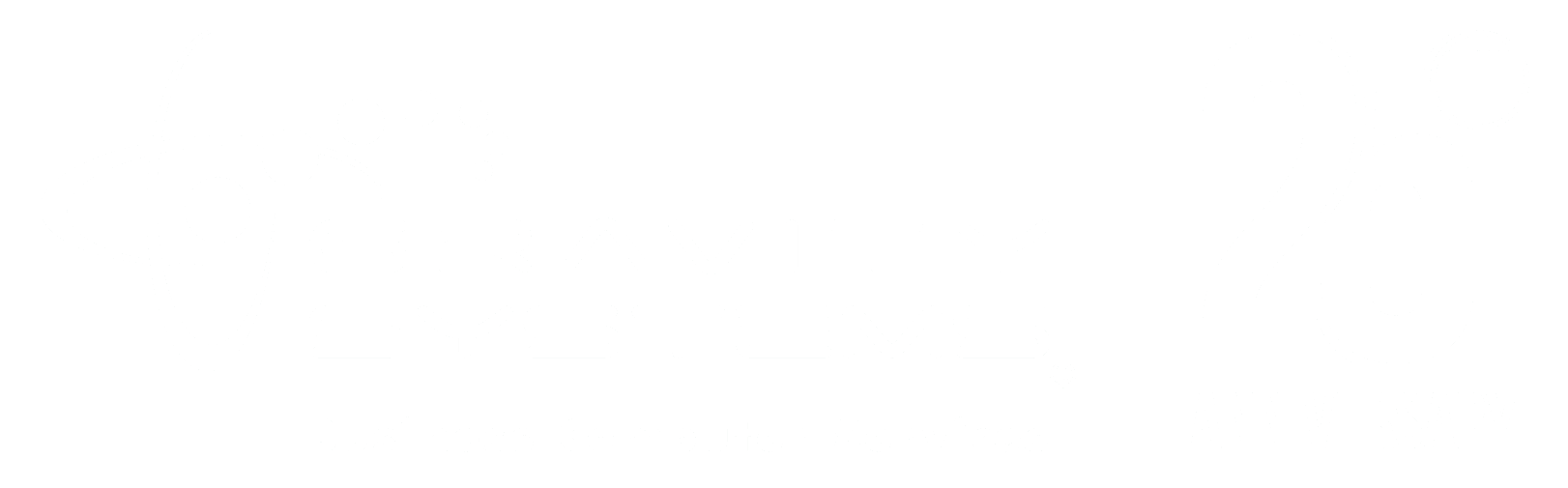 Gravity Systems 25 